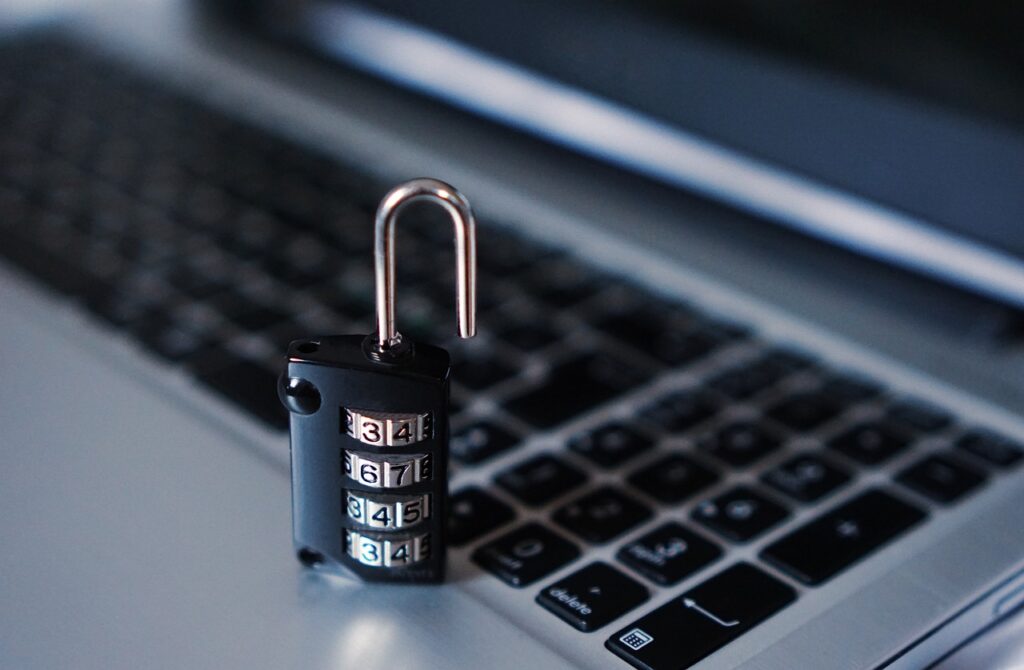 Internationale dag van de privacy